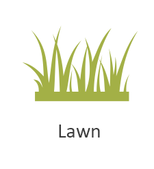 Lawn